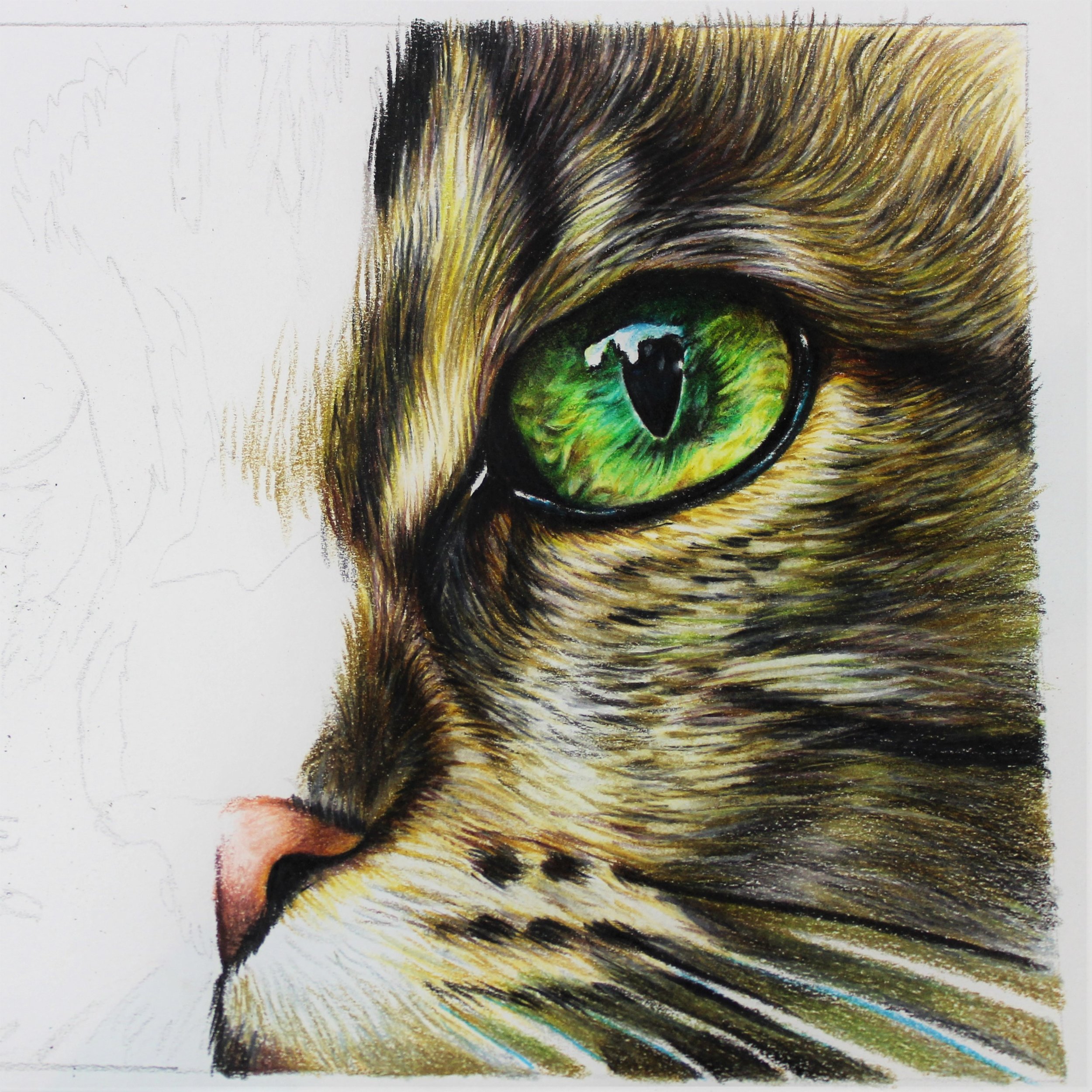 How to: Use Arteza Expert Watercolor Pencils & Premium Watercolor Pad — Pet  Portraits by Sema Martin