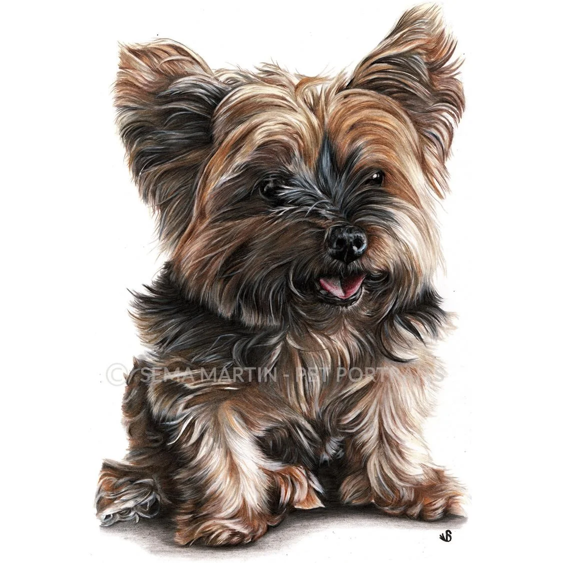 'Mitzi' - UK, 8.3 x 11.7 inches, 2019, Colour Pencil Yorkshire Terrier Portrait