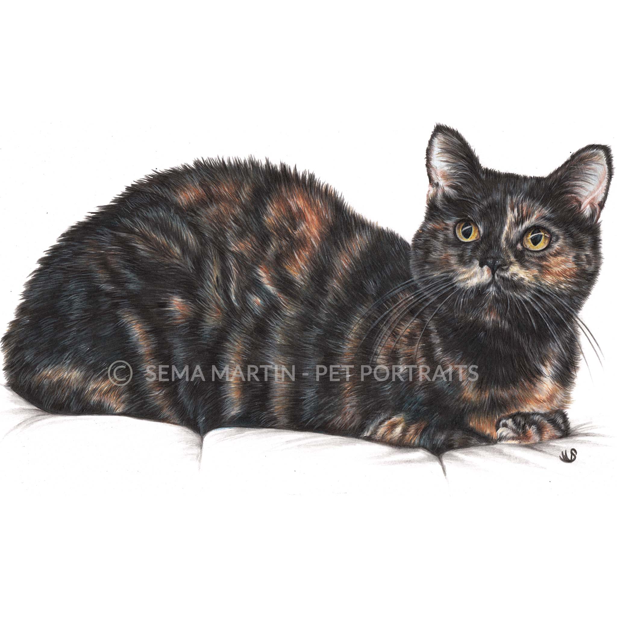 Drawing of Mitzi the tortie Cat from Ohio, USA (Copy)