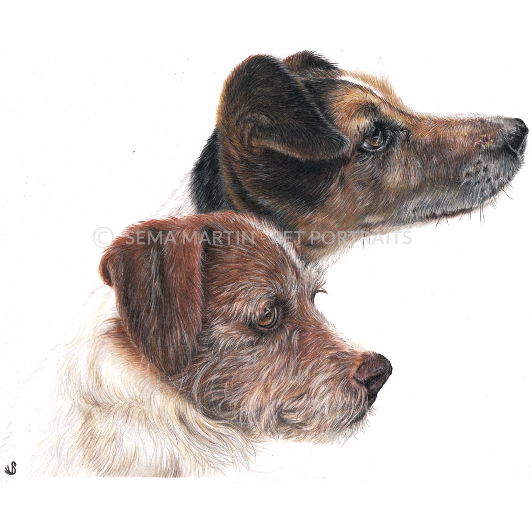 'Tu Tu &amp; Tinsel' - UK, 8.3 x 11.7 inches, 2019, Custom Colour Pencil Portait of two Jack Russell Terriers (Copy)