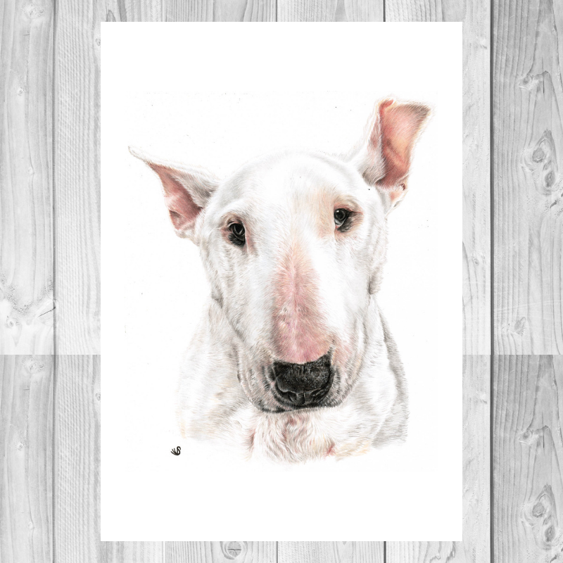 Bull Terrier, Giclée Bull Terrier Wall Print, dog lover gift, Giclée Wall art print, dog Lover Birthday gifts, Giclée dog art, dog décor