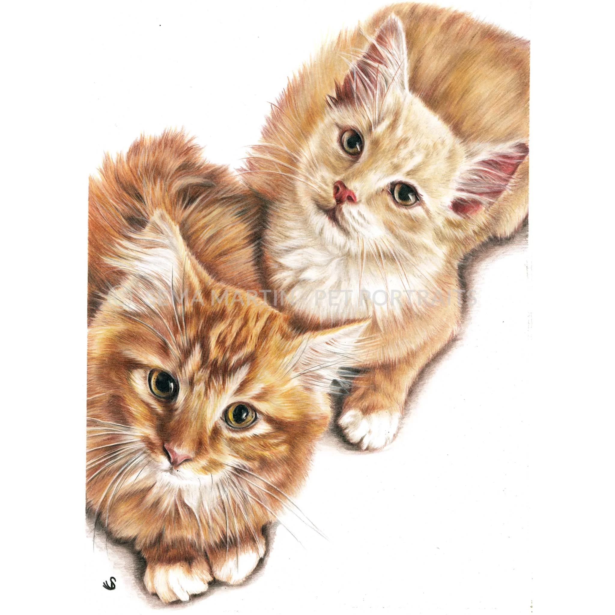 'Braemar & Finley' - USA, 8.3 x 11.7 inches, 2019, Color Pencil Portrait of two cute ginger tabby kittens