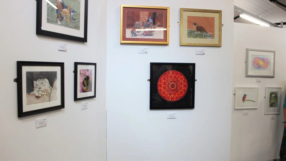 2019 World of Colour Pencil Exhibition at the Derwent Pencil Museum in