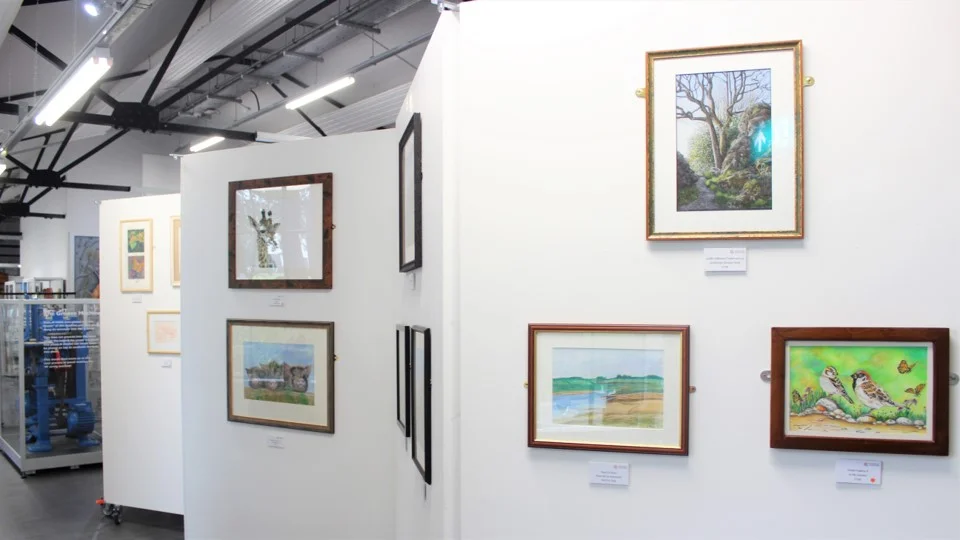 2019 World of Colour Pencil Exhibition at the Derwent Pencil Museum in