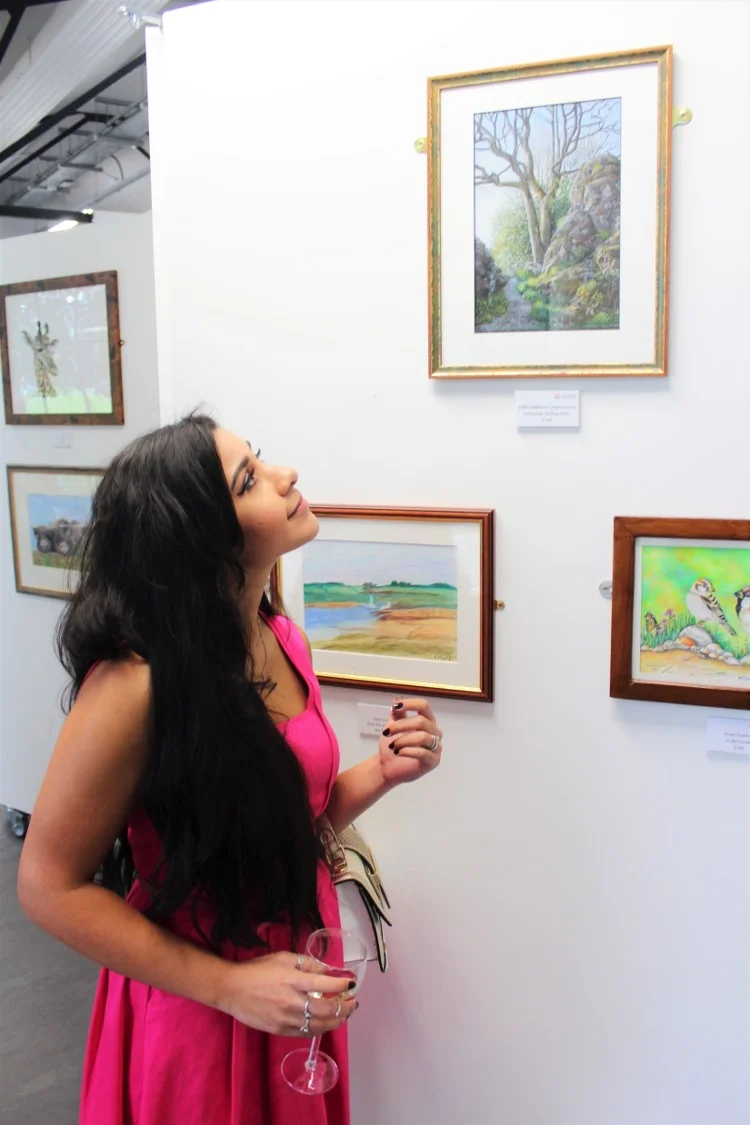 2019 World of Colour Pencil Exhibition at the Derwent Pencil Museum in