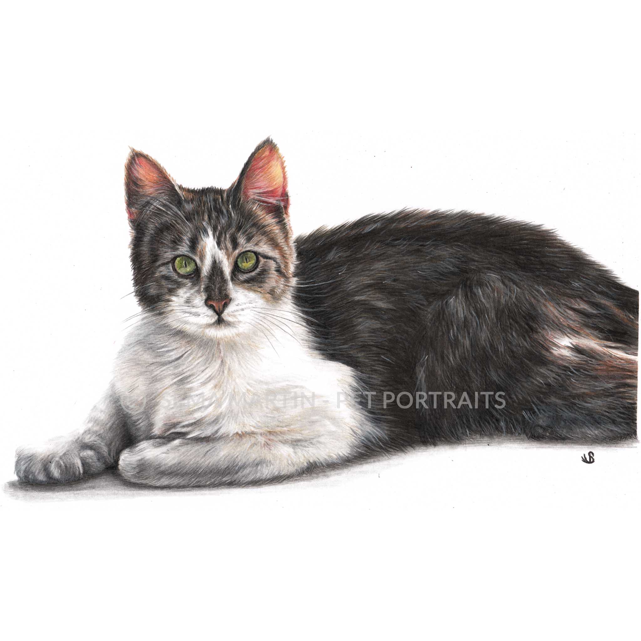 Drawing of Heyou the domestic long hair cat from New York, USA (Copy)