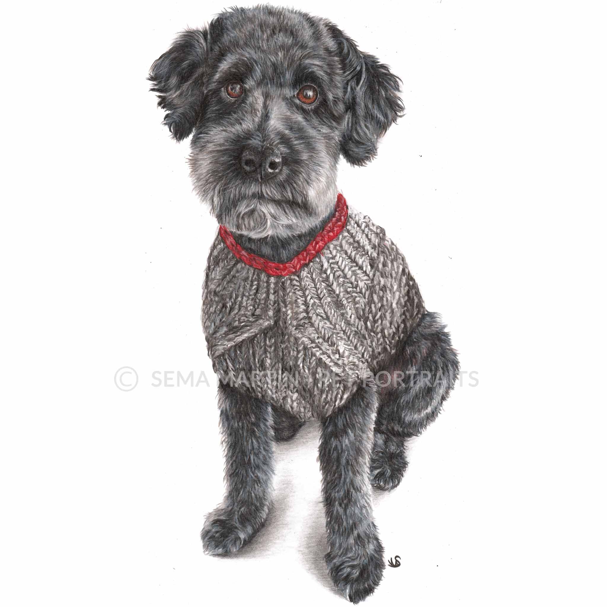 'Jackson' - Canada, 8.3 x 11.7 inches, 2019, Colour Pencil Dog Portrait (Copy)