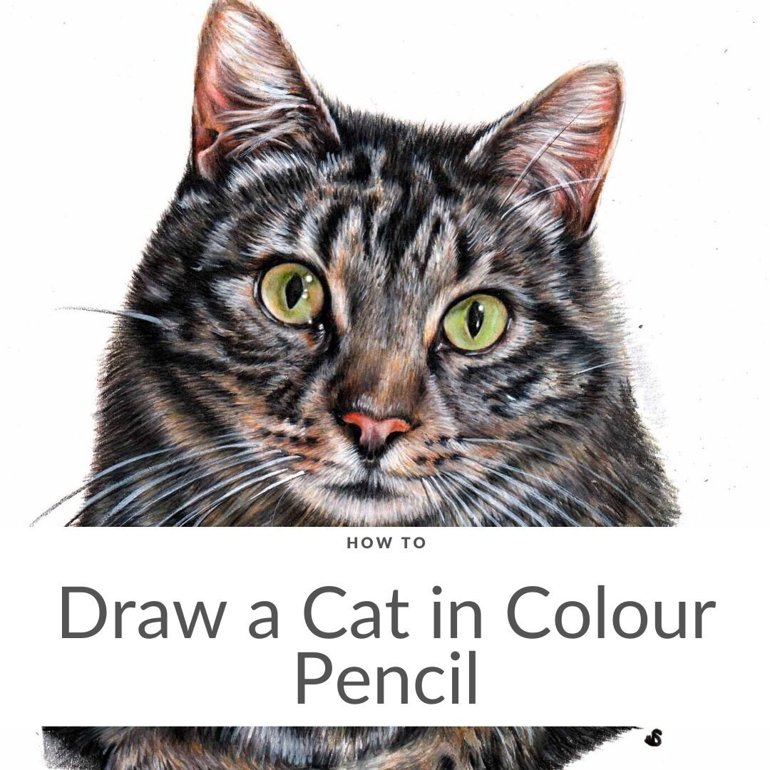 Premium Vector | Cat silhouette cat sketch black color in sketch style  vector illustration