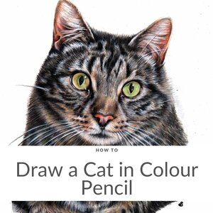 Faber Castell Polychromos, Caran d'Ache Luminance, and Pablo pencils are  must-have materials. — Pet Portraits by Sema Martin