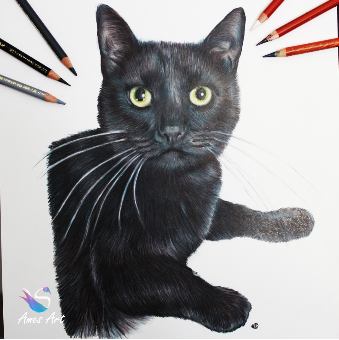 drawing of blackie chan the black cat by Sema Martin