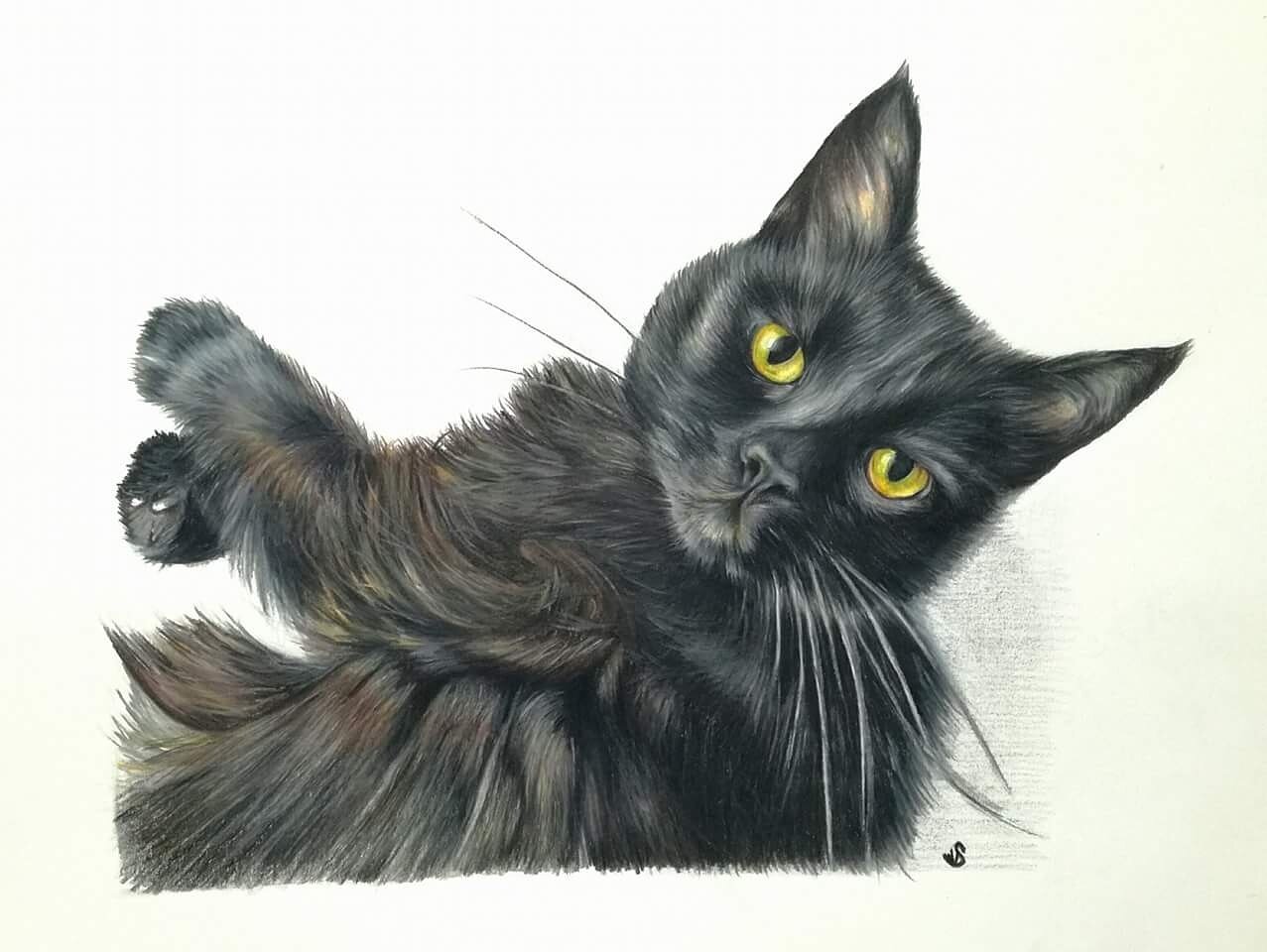 drawing of a black cat called Piggy by artist sema martin