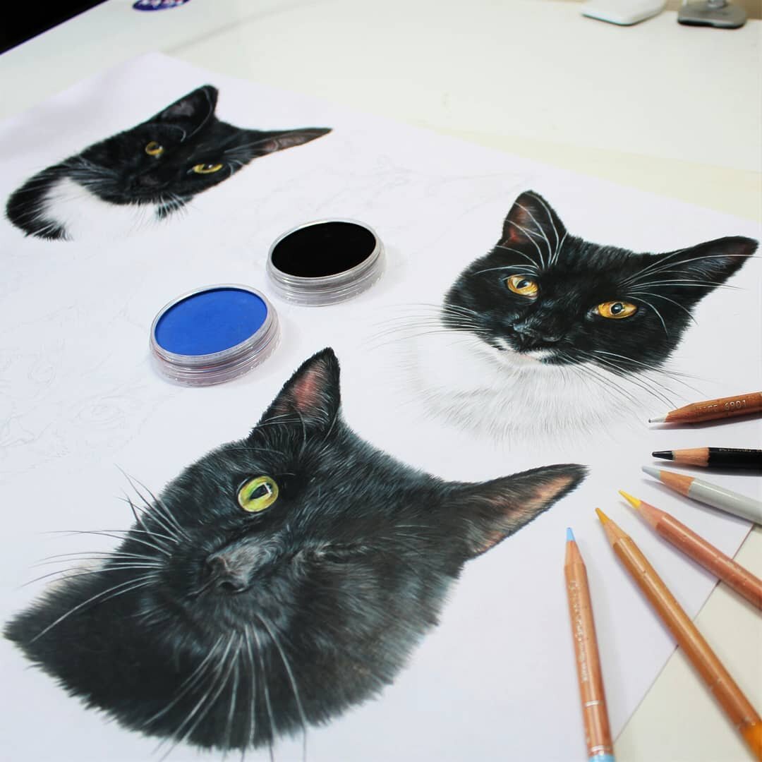 drawing of a black cat drawing with one eye by pet portrait artist Sema Martin