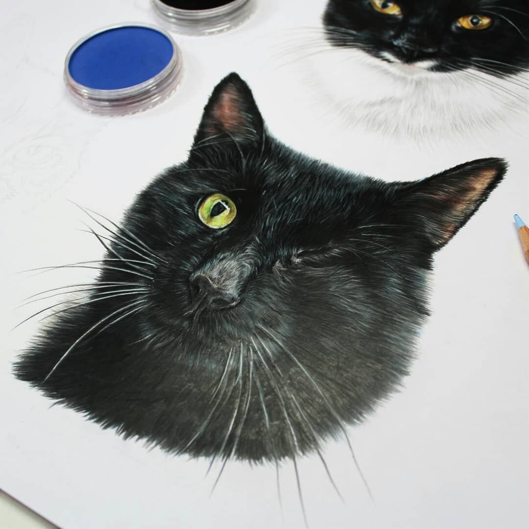drawing of a black cat with one eye by Sema Martin