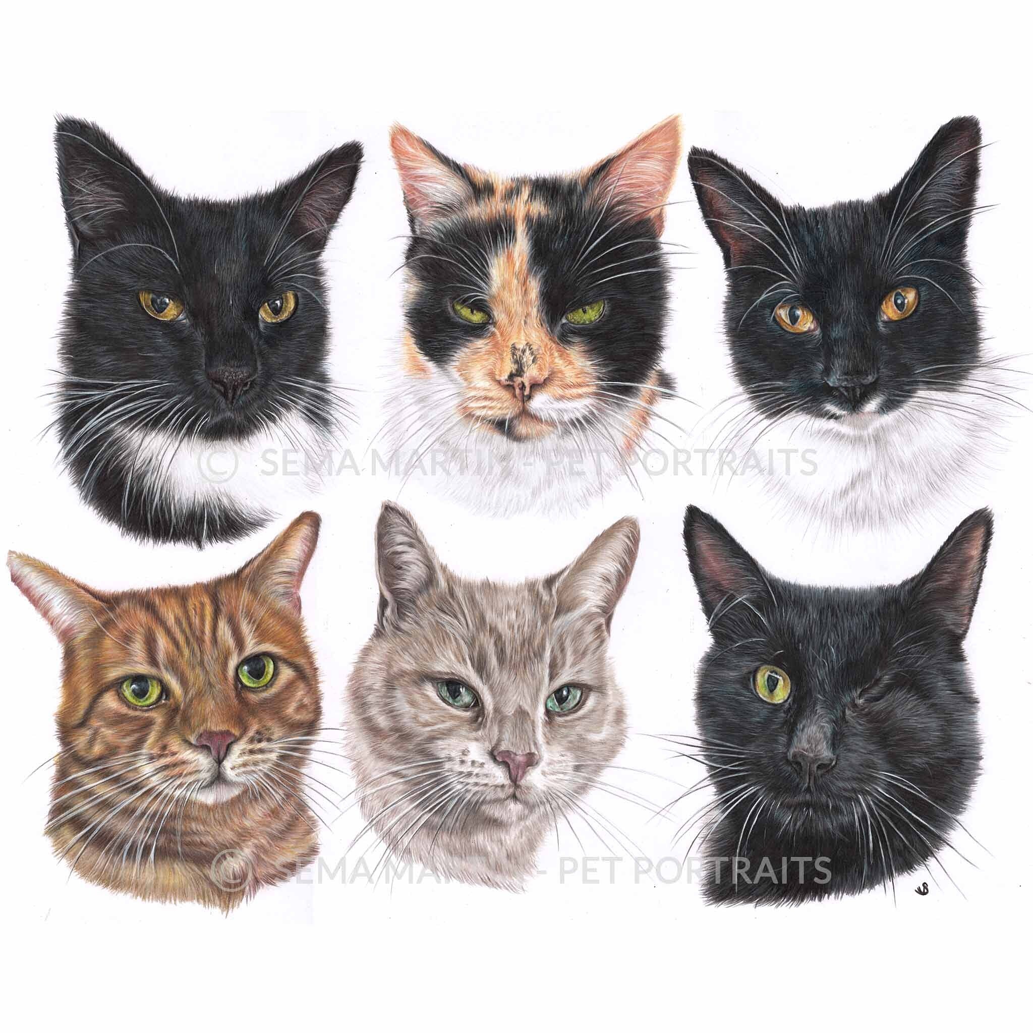drawing of a black cat with one eye and six other cats by Sema Martin