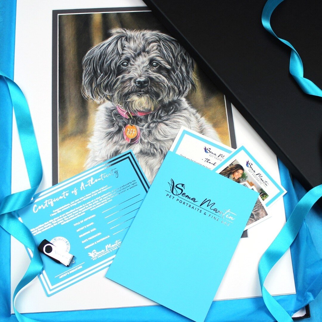 Custom Pet portrait drawn from your photos special packaging of black box and blue ribbon