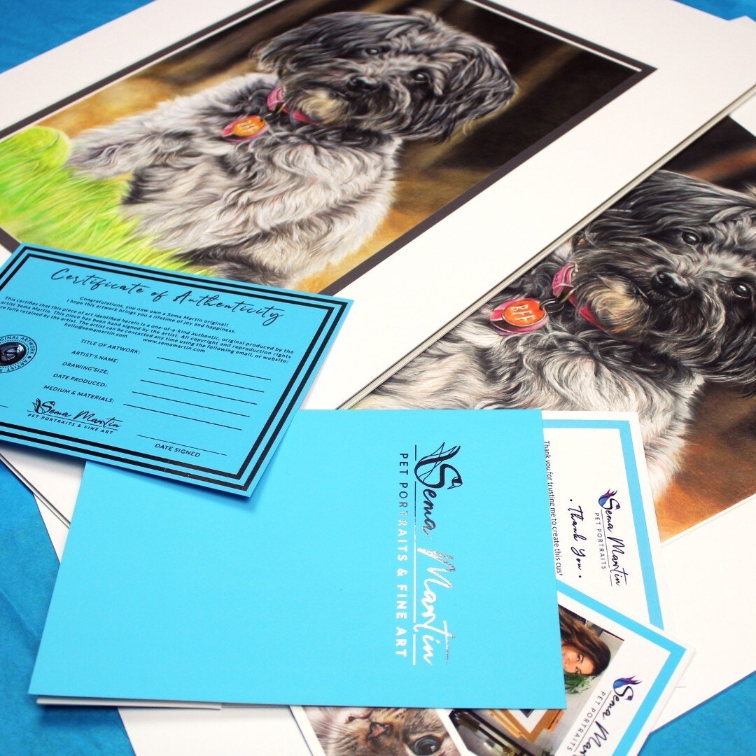 Custom Pet portrait drawn from your photos special packaging of black box and blue ribbon