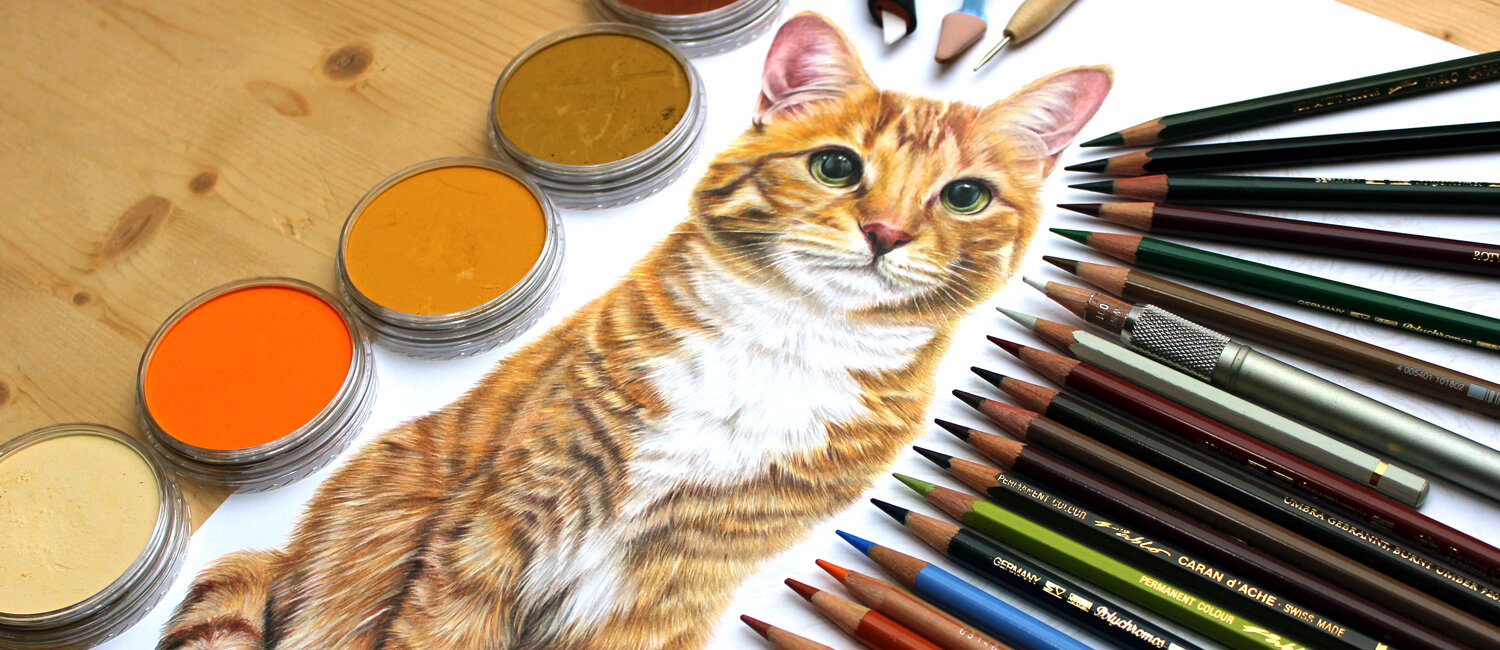 Faber Castell Polychromos, Caran d'Ache Luminance, and Pablo pencils are  must-have materials. — Pet Portraits by Sema Martin | Realistic pet  portrait drawings from photos UK