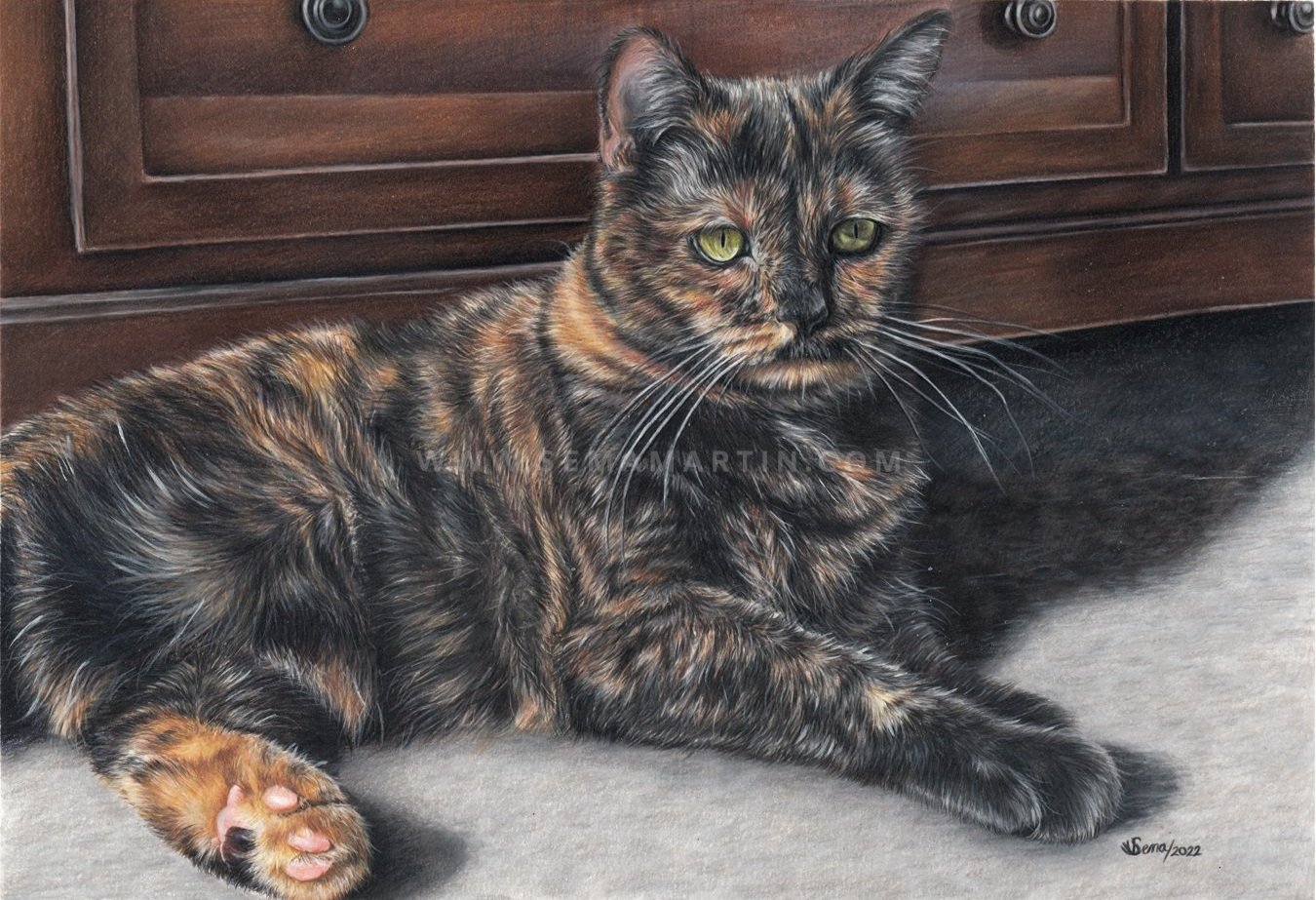 Realistic drawing of Tequila the Tortoiseshell cat from USA (Copy)