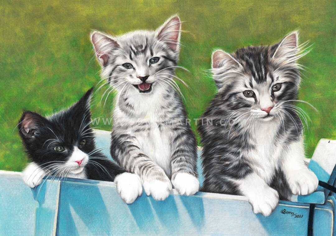 Drawing of three kittens in the garden in USA (Copy)