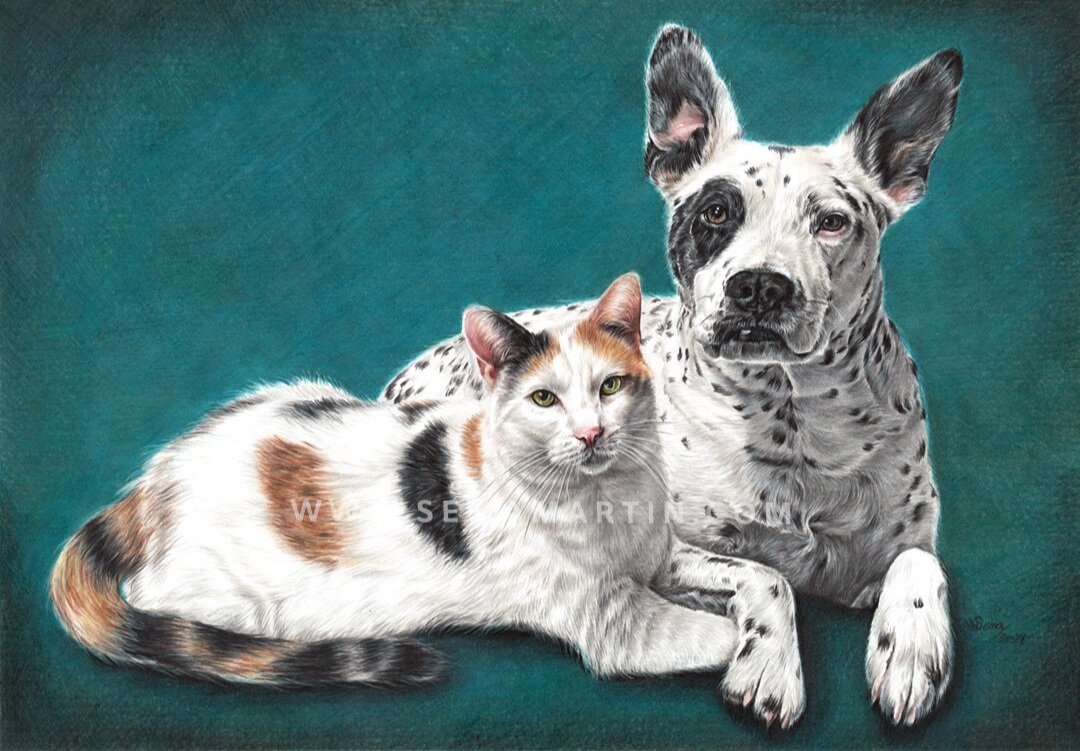 Drawing of a calico cat and a Dalmatian cross dog in California USA (Copy)