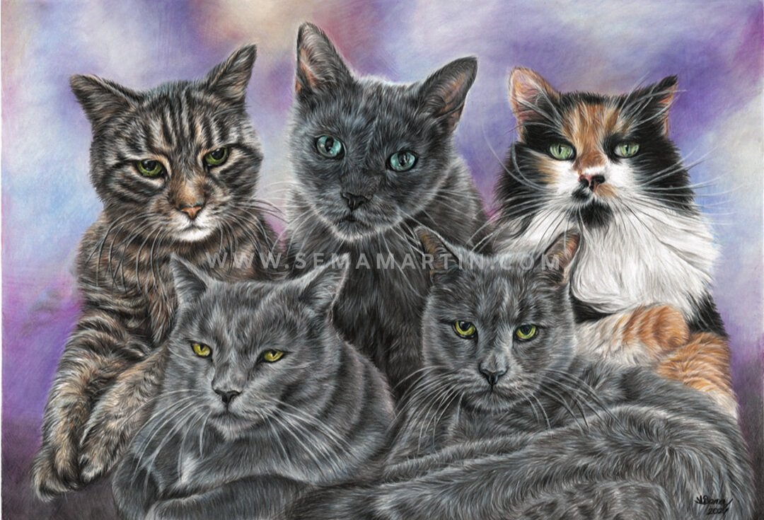 A drawing of 5 cats in one portrait, three grey cats, one tabby and one calico, USA (Copy)