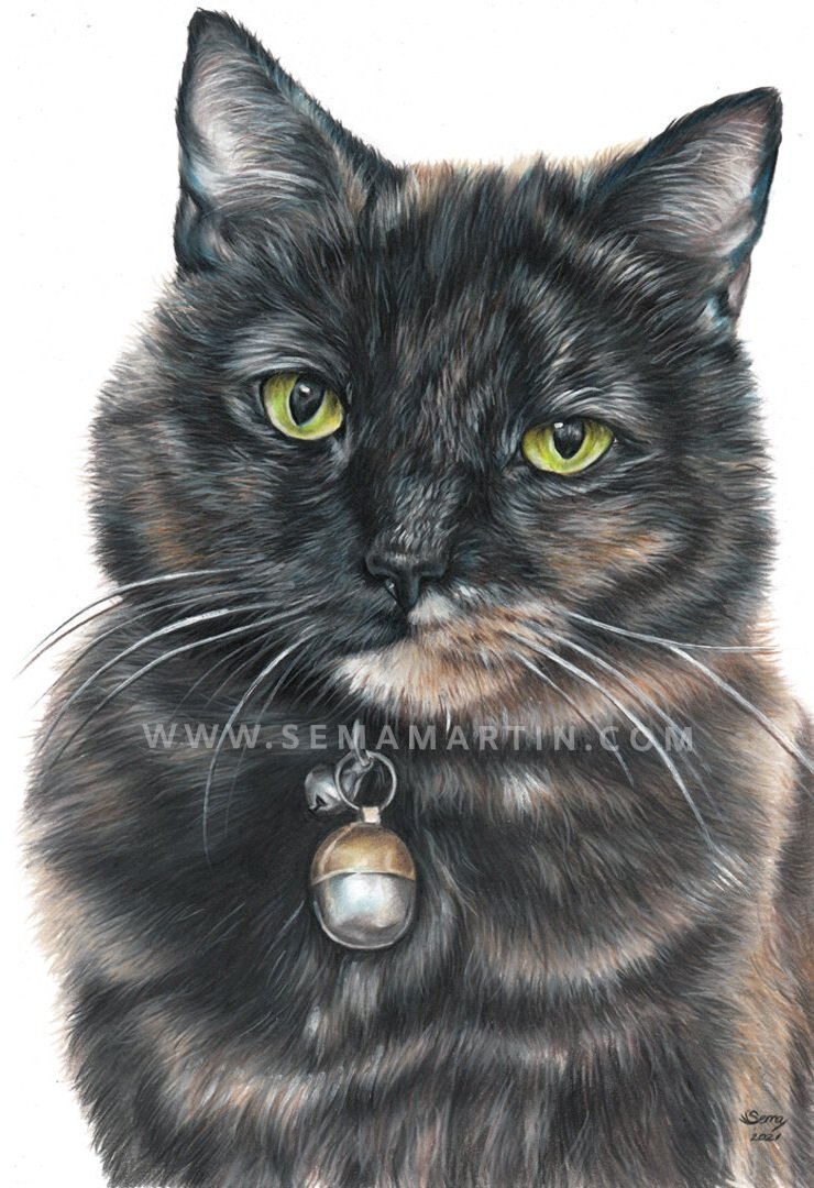 Drawing of Spyda the tortie cat from the UK, (Copy)