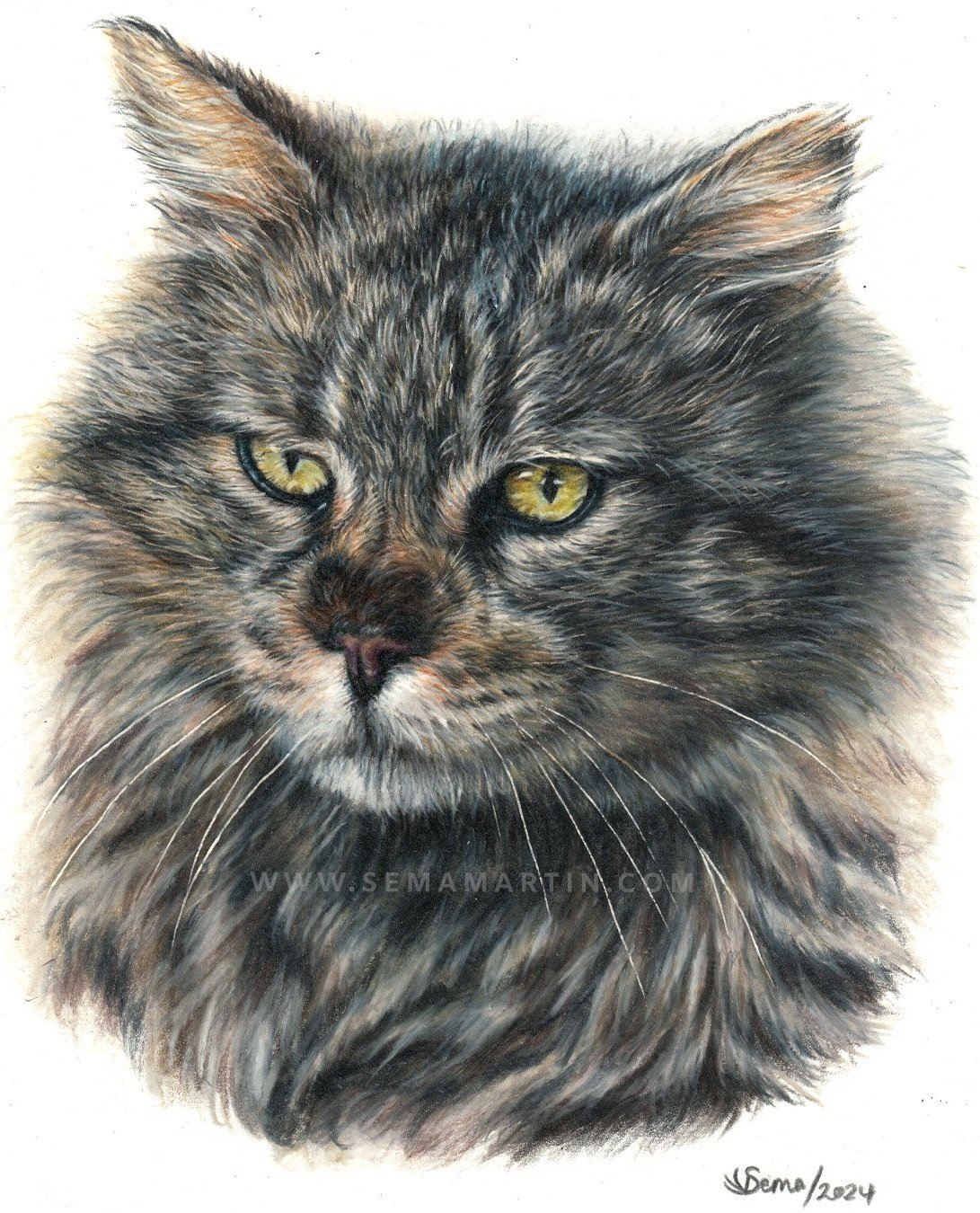 Realistic drawing of Bruiser the tabby cat from USA (Copy)