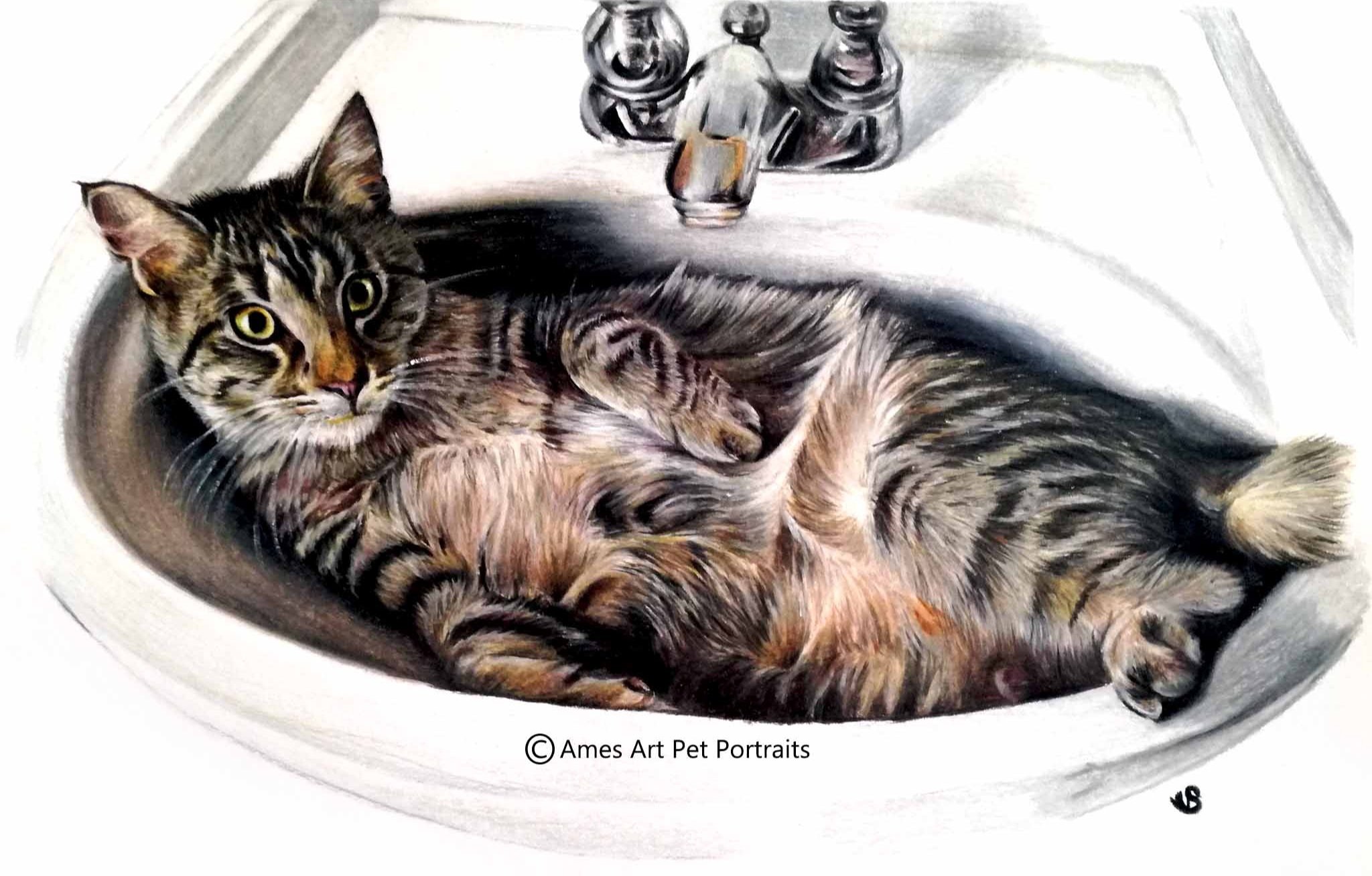 Drawing of Huxley Bean Fin the tabby cat in a sink from Minnesota, USA (Copy)