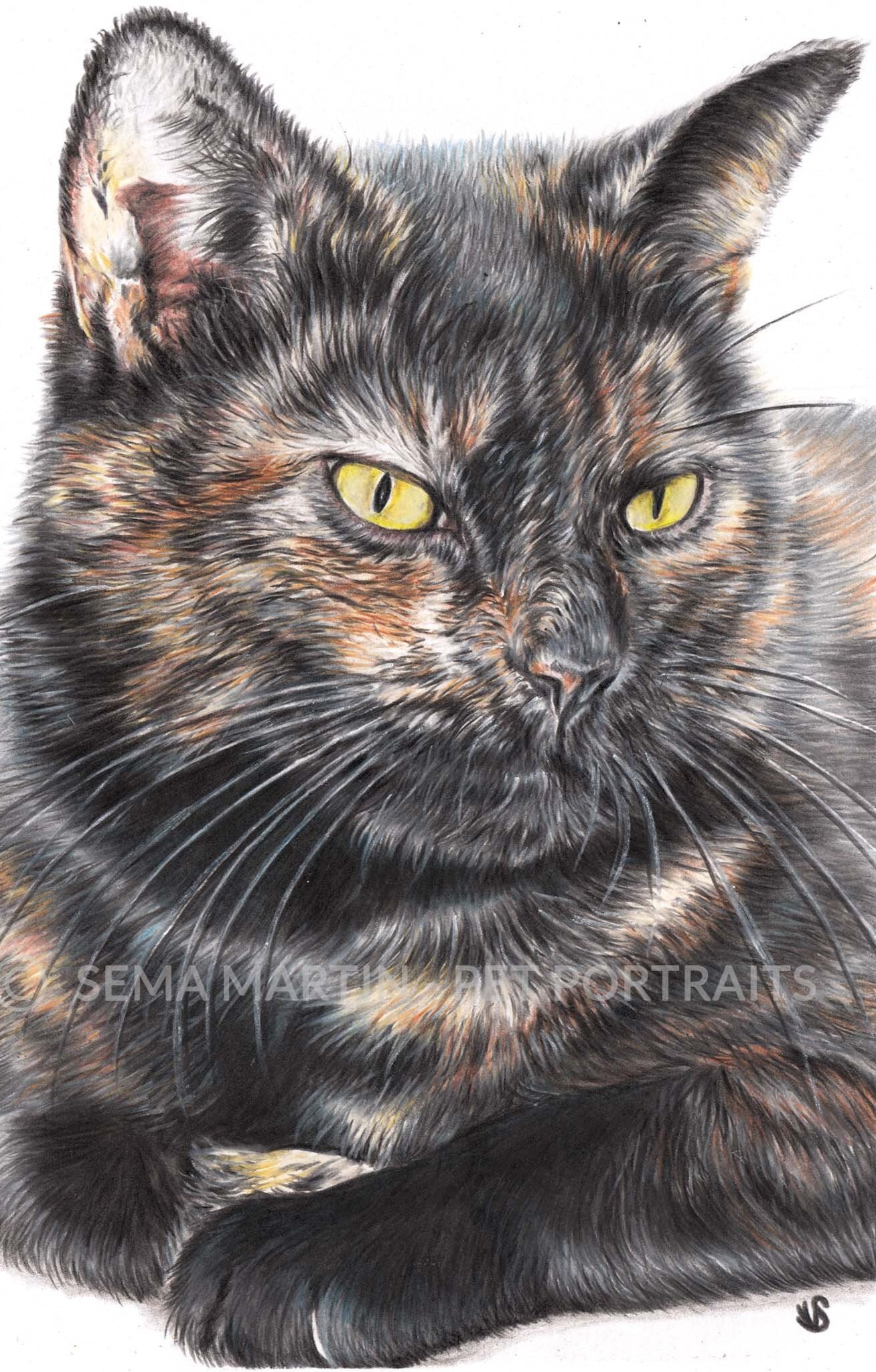 Drawing of Freya the Tortoiseshell cat with yellow eyes from Worcestershire, UK (Copy)