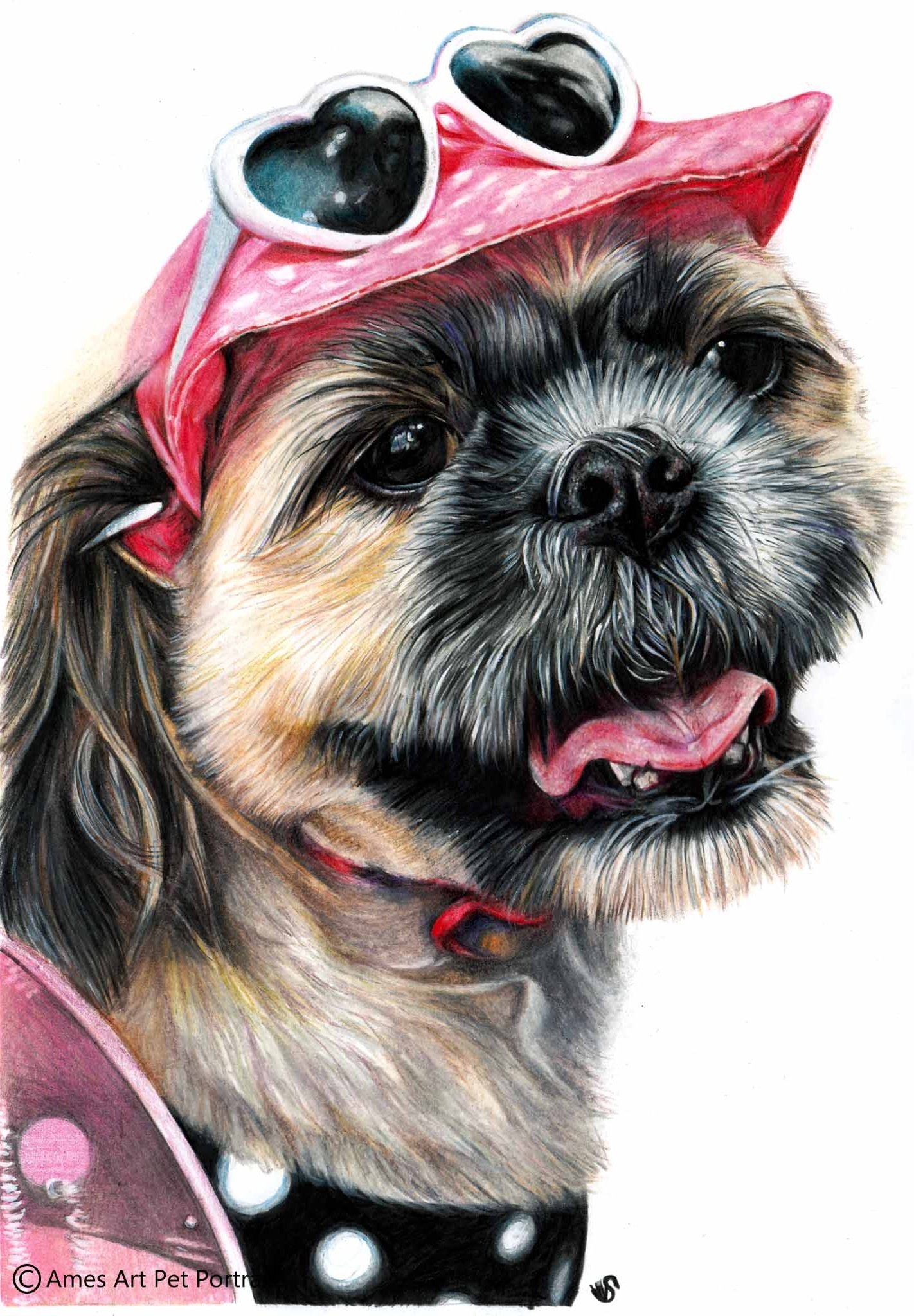 'Mia' - AUS, 11.7 x 16.5 inches, 2017, Colour Pencil Dog Portrait (Copy)