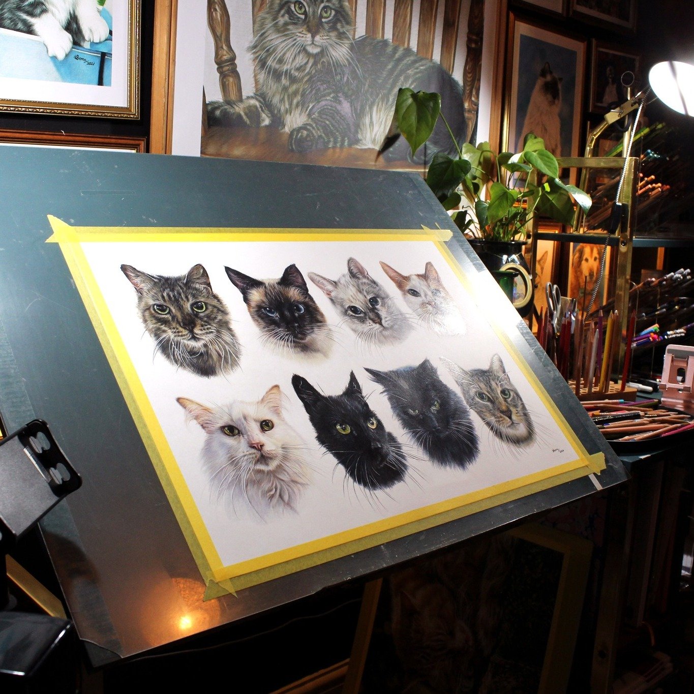 Finished!! Rate this portrait from 1 to 10. This has been the most subject I have ever done on a single page. what a wonderful project. Please let me introduce you to Leetta, Latte, Angel, Simba, Bella, Binx, Tobi, and Precious.