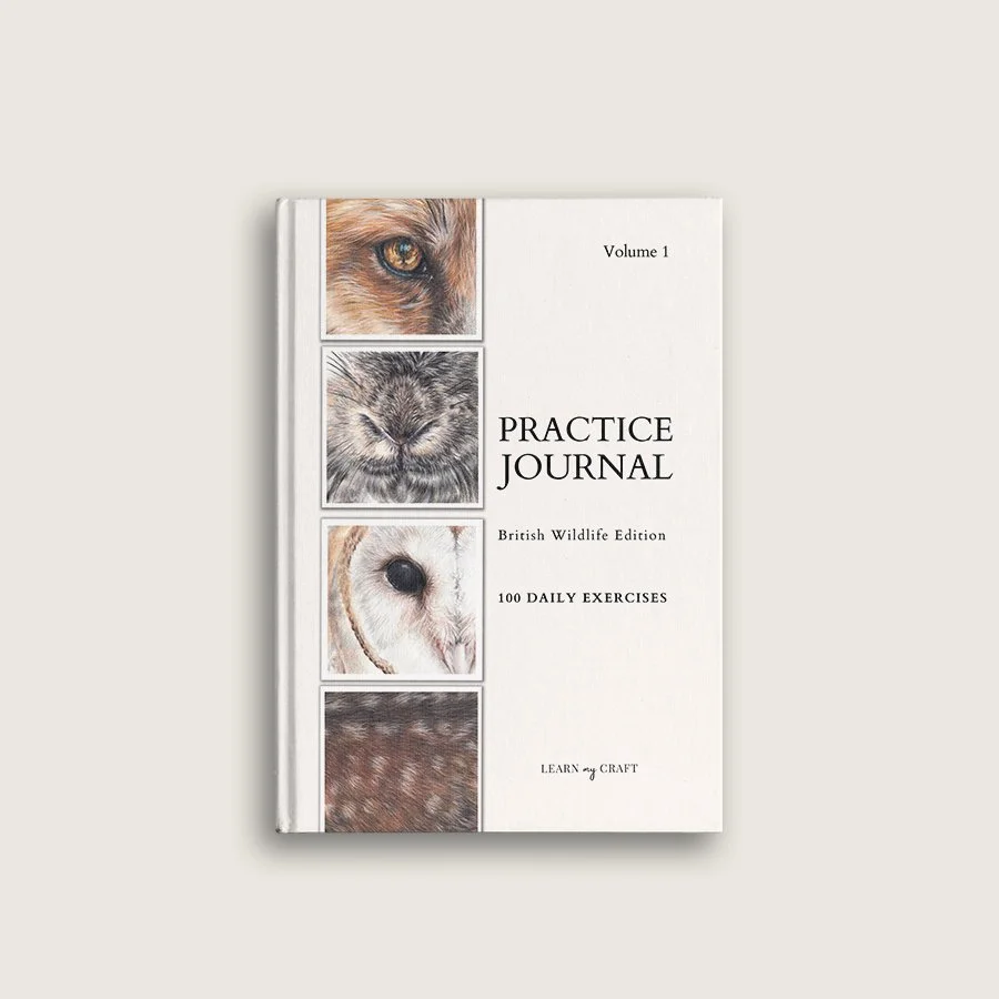 Learn My Craft Practice Journal British Wildlife Edition