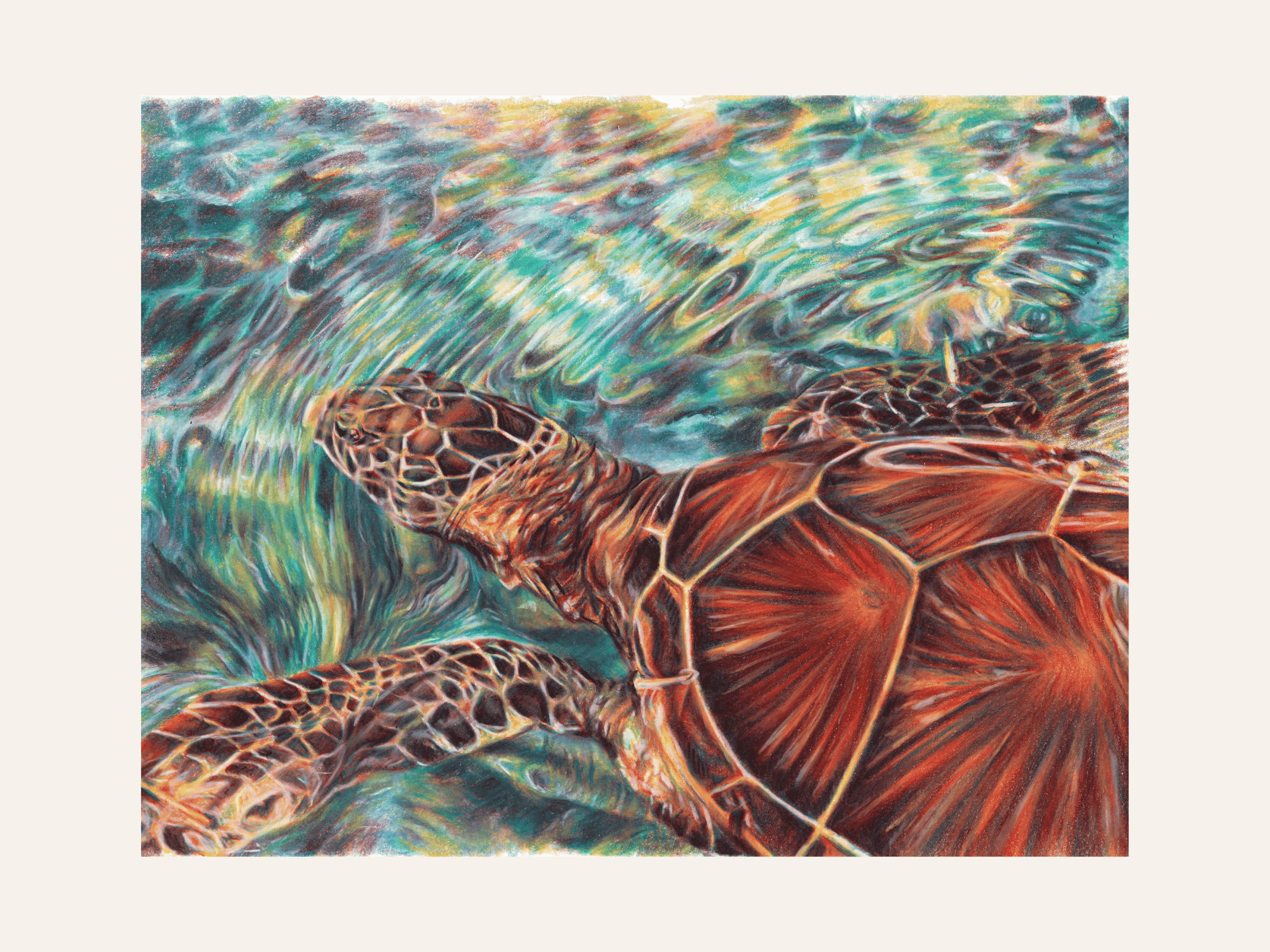 Turtle 3.png