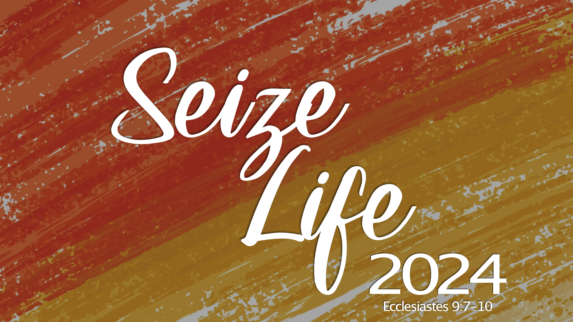 Seize Life 2024 -2.png