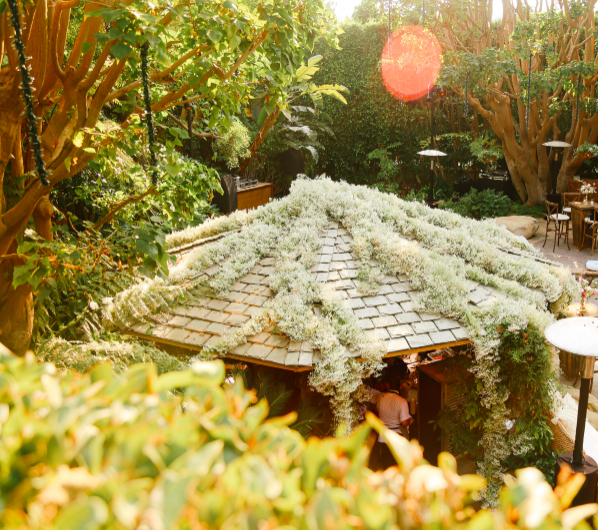 Screen Shot 2021-02-07 at 11.40.25.png