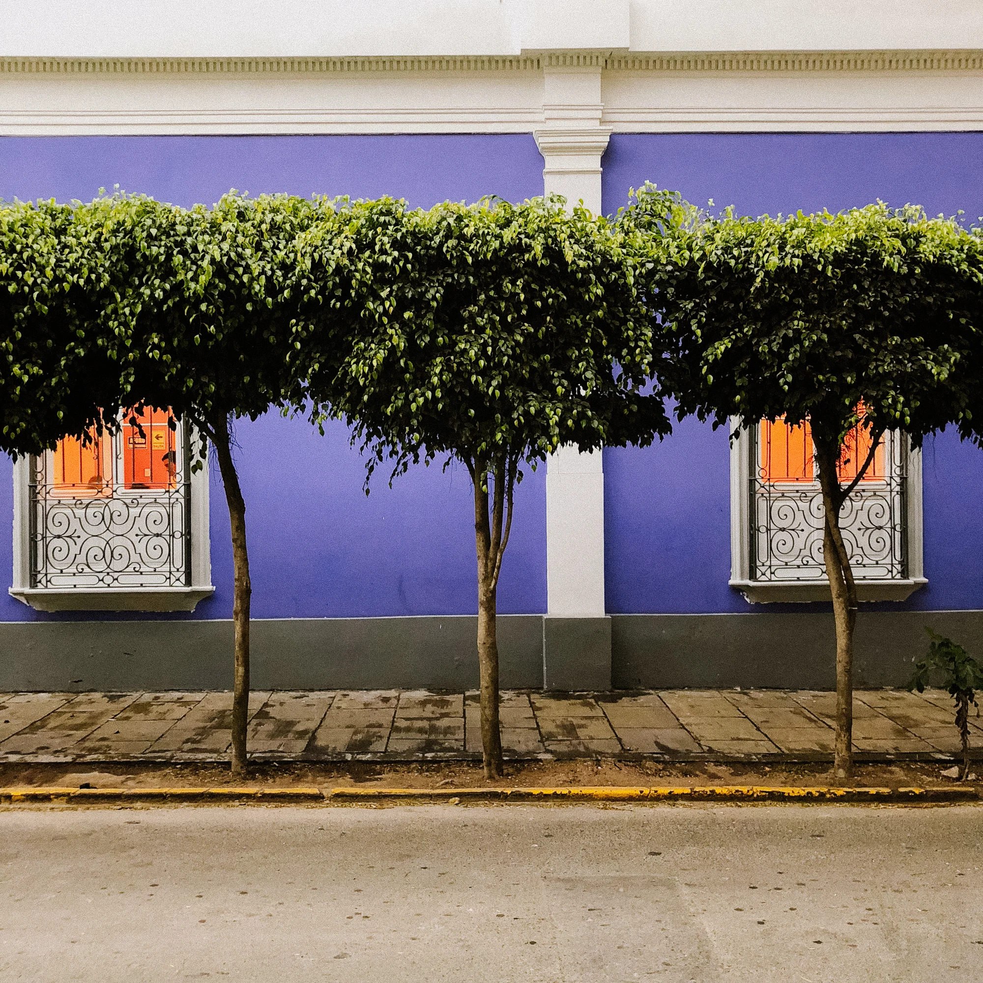 IMG_1971_Lima.jpg