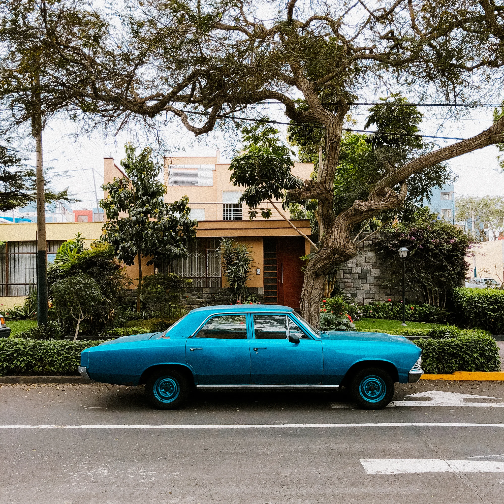 IMG_1824_Lima.jpg