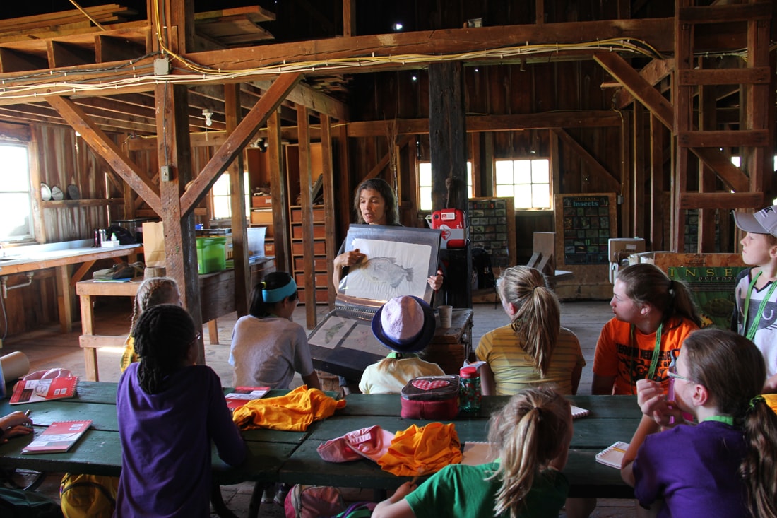 Retrofitted Barns