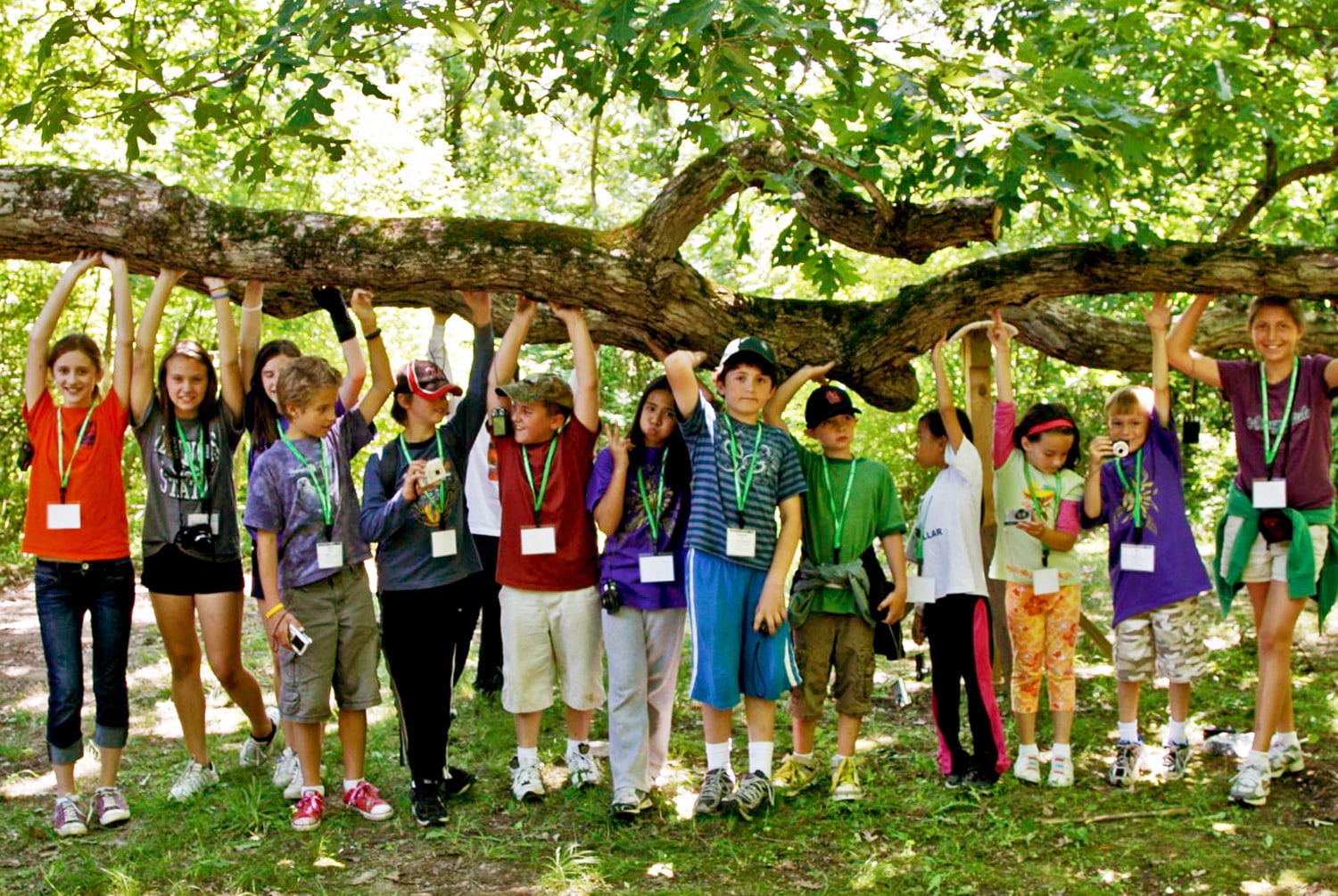 community-old-oak-tree-min.jpg