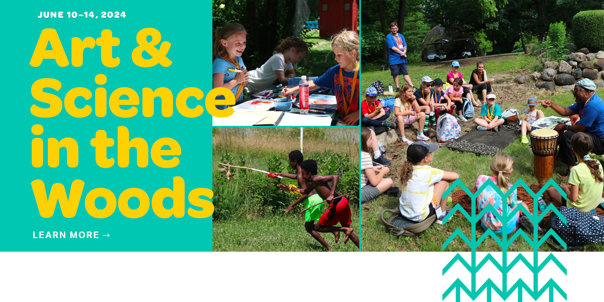 Join us for Art and Science in the Woods