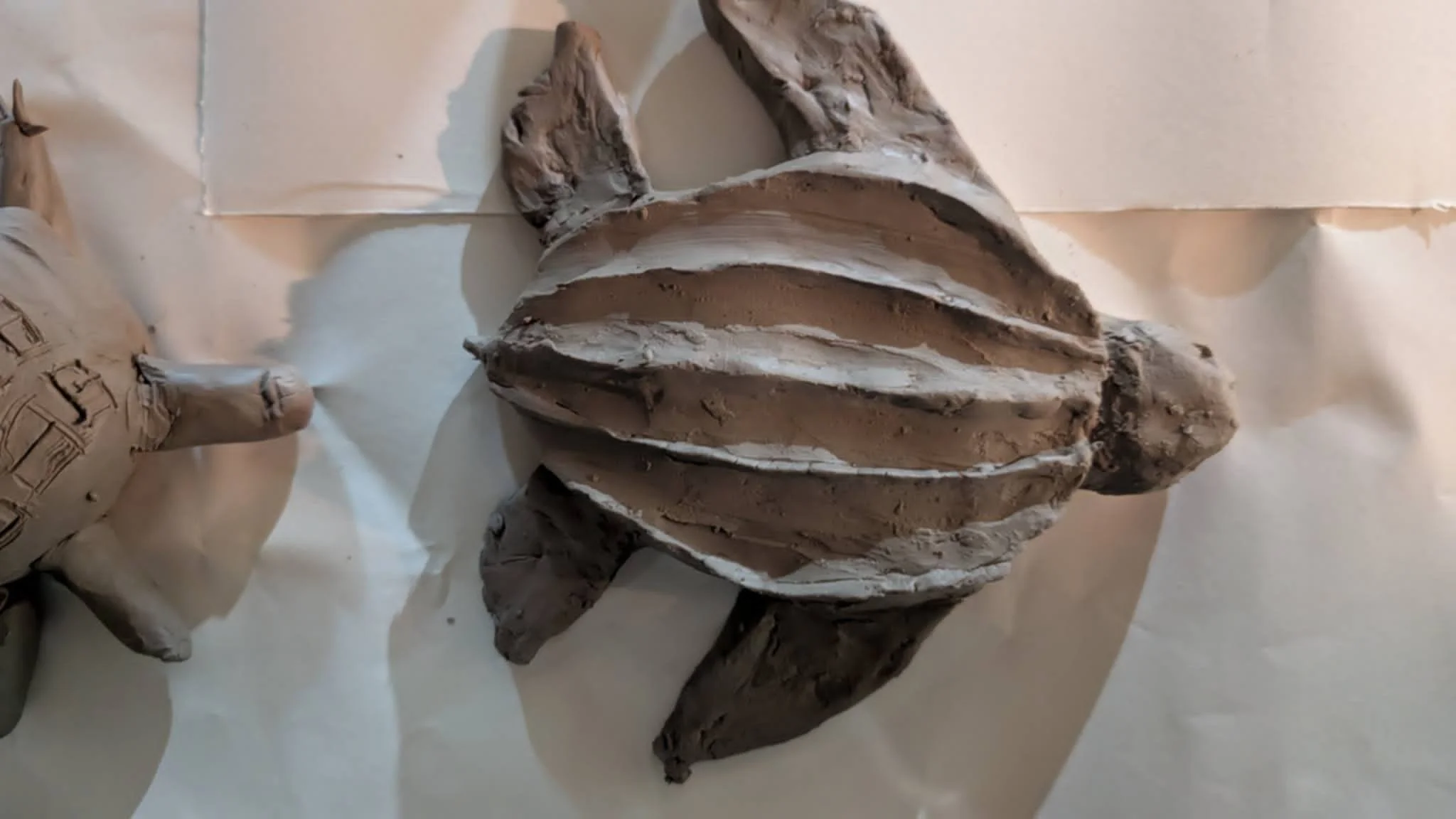 turtle sculpture - Doug Holmes.jpg
