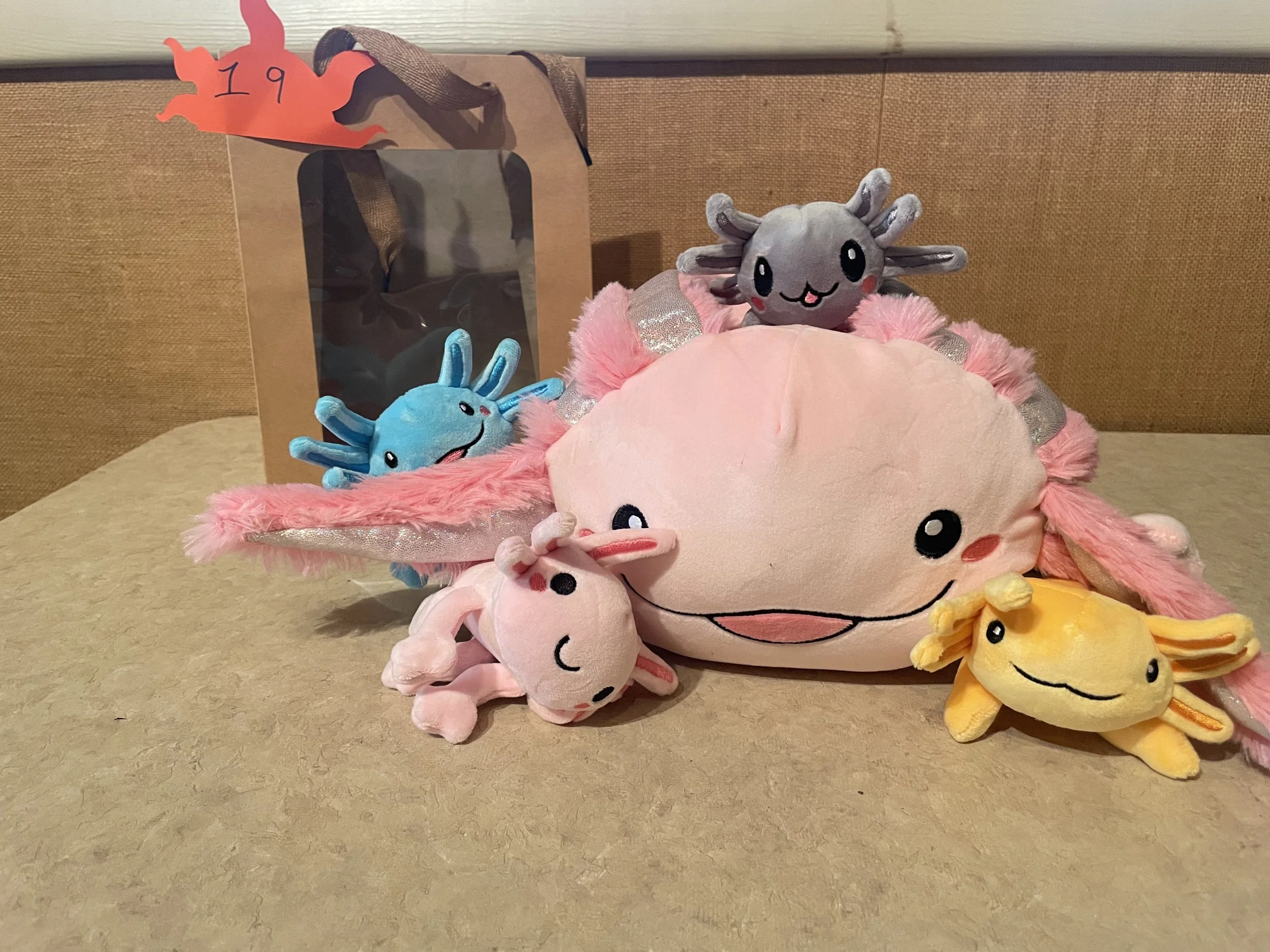Fundraising Raffle
