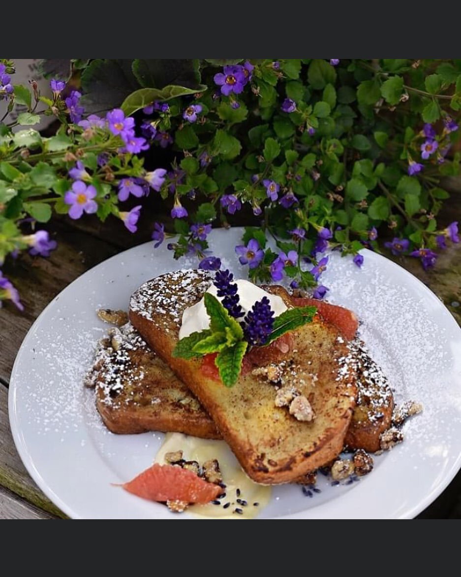 It&rsquo;s back and just in time for Mother&rsquo;s Day.  We are once again offering our delicious Lavender Citrus French Toast.  With citrus curd, lavender marscapone mousse, and candied walnuts  Served with maple syrup on the side. 
.
.
.
#mothersd