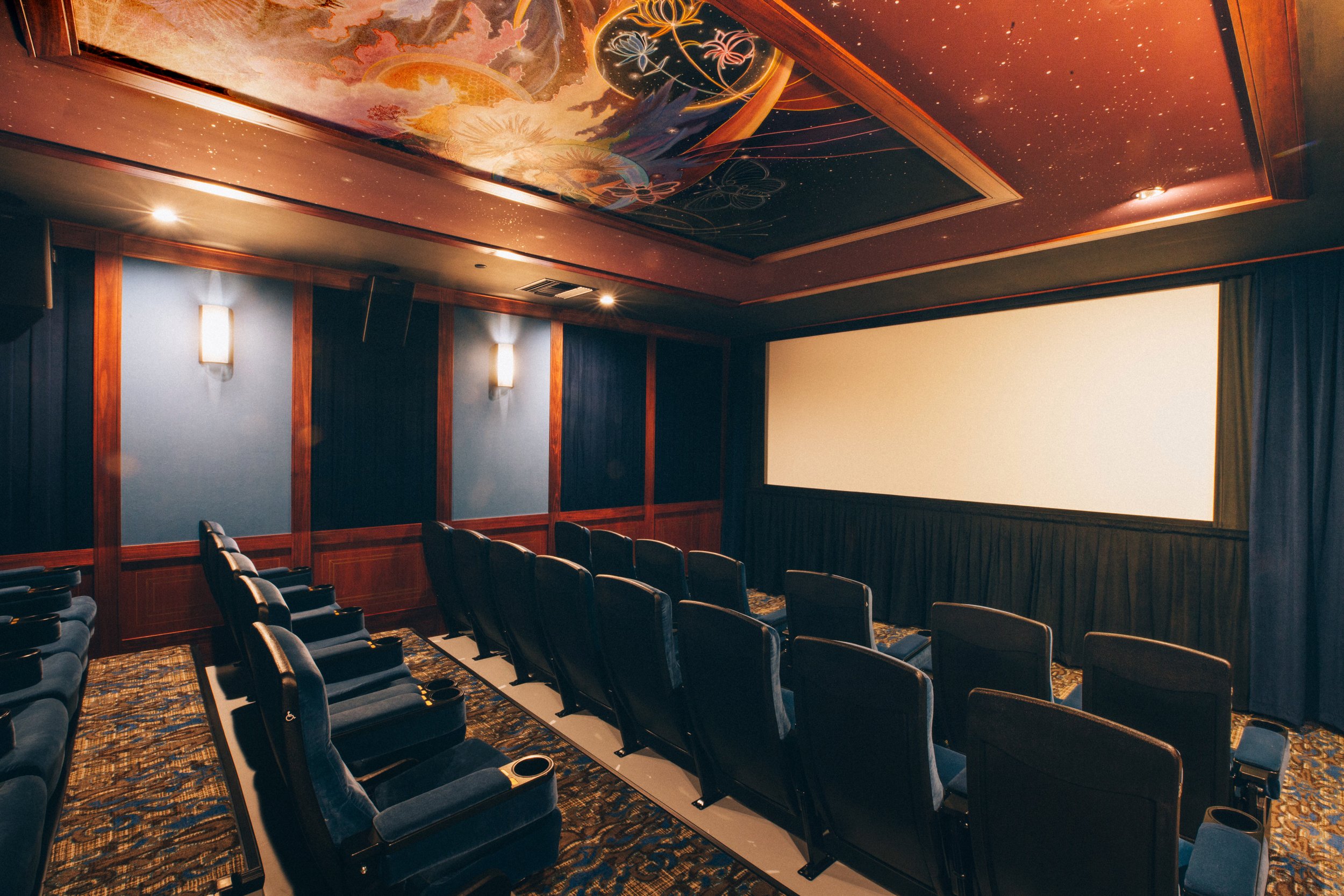 The Onyx Theatre Screening Room