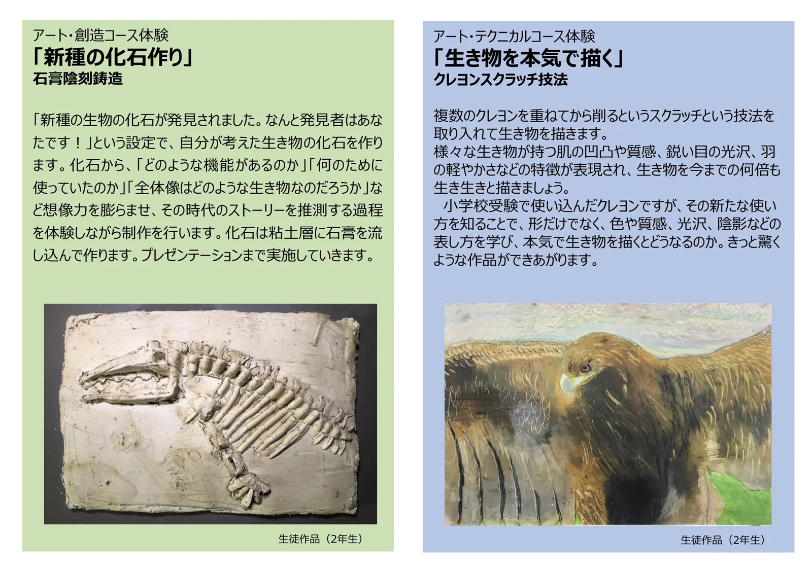 体験案内ホームページ用2.jpg