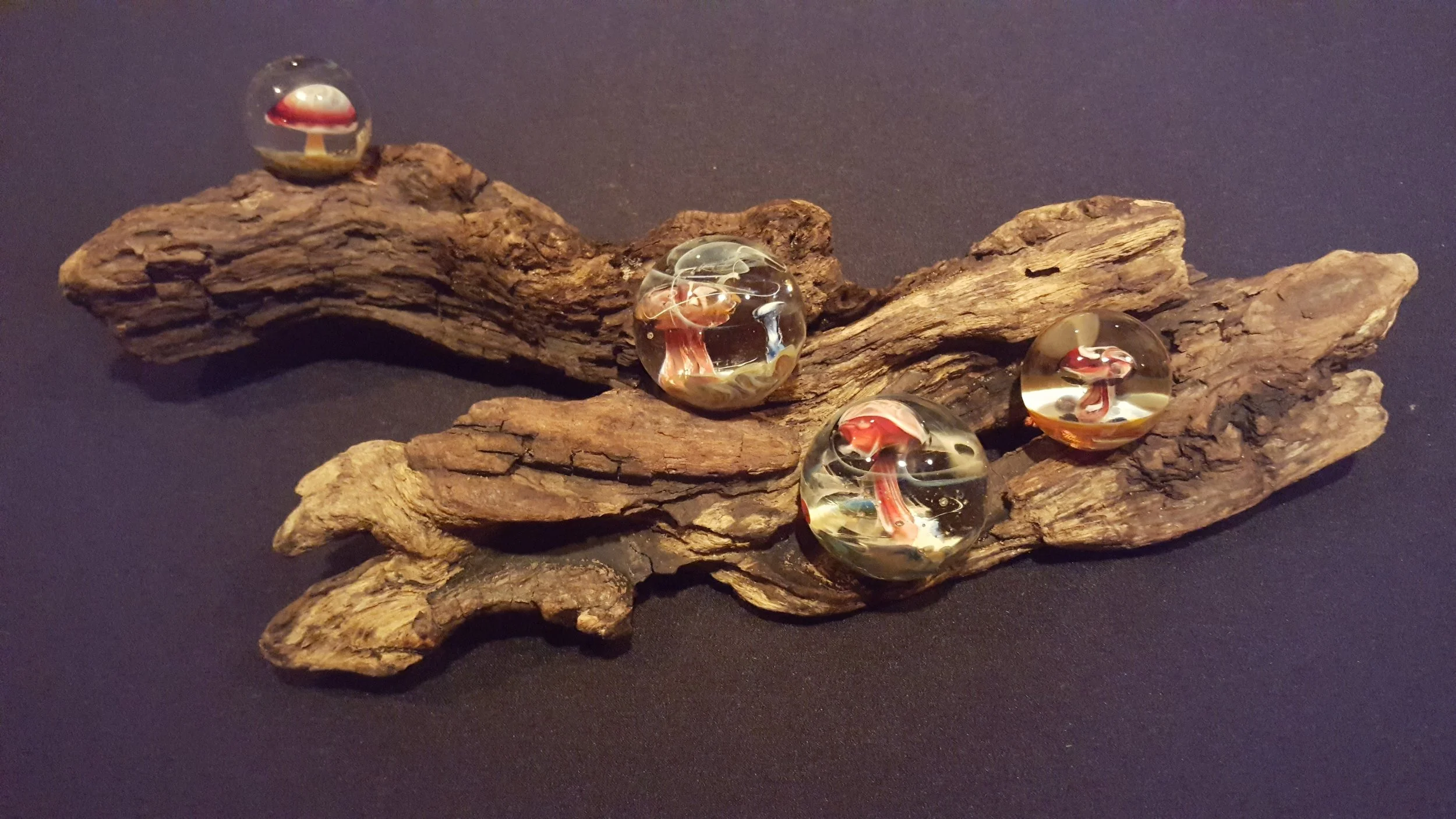 5 - Fungi - $495.00