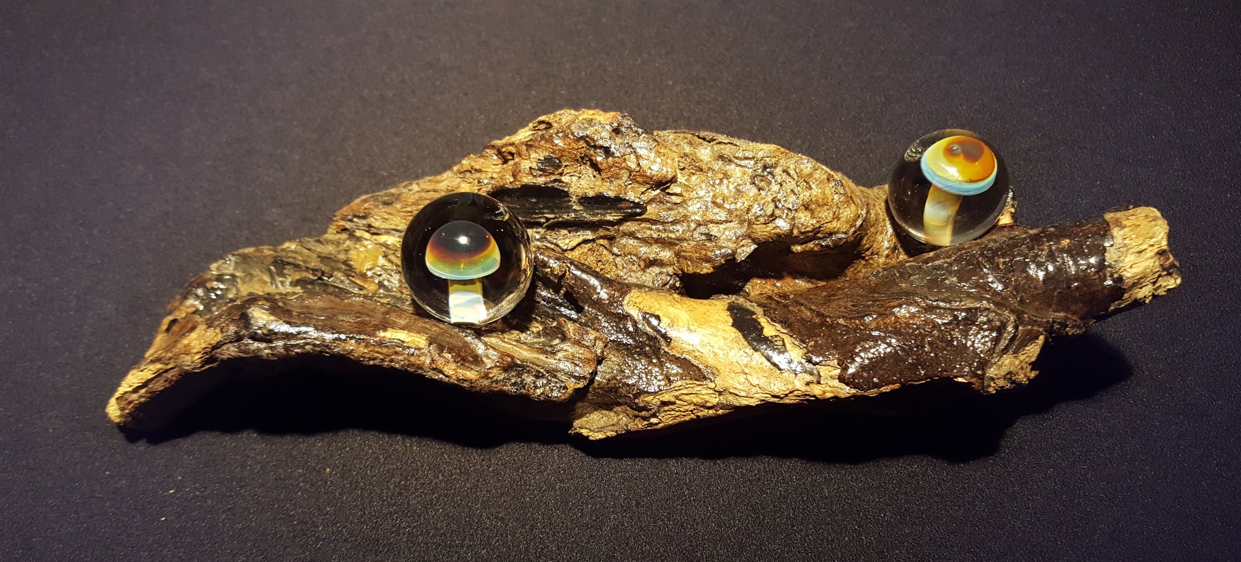 16 - Mushrooms on a log - $95.00