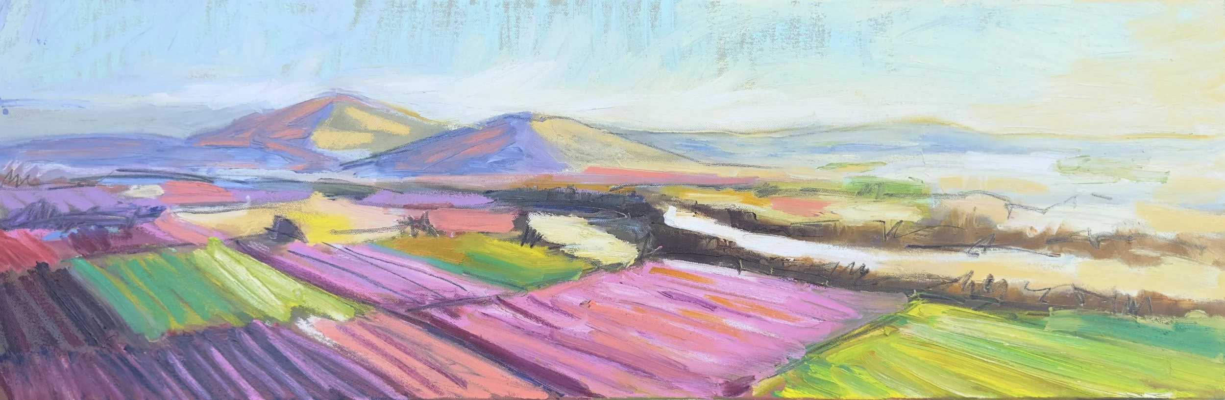 morning spring 12x36 vangerpen.jpg