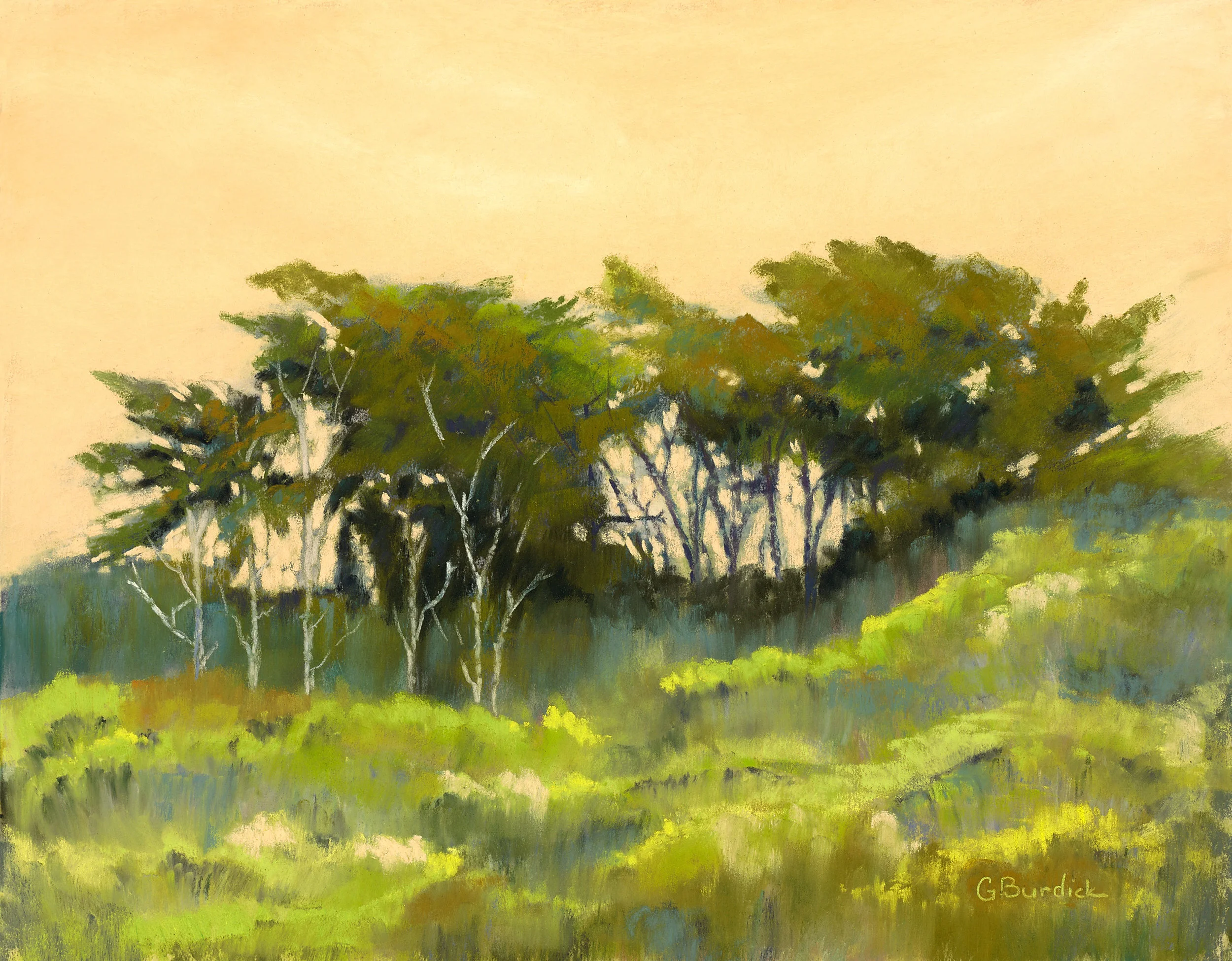 The Sky Through the Trees.jpg
