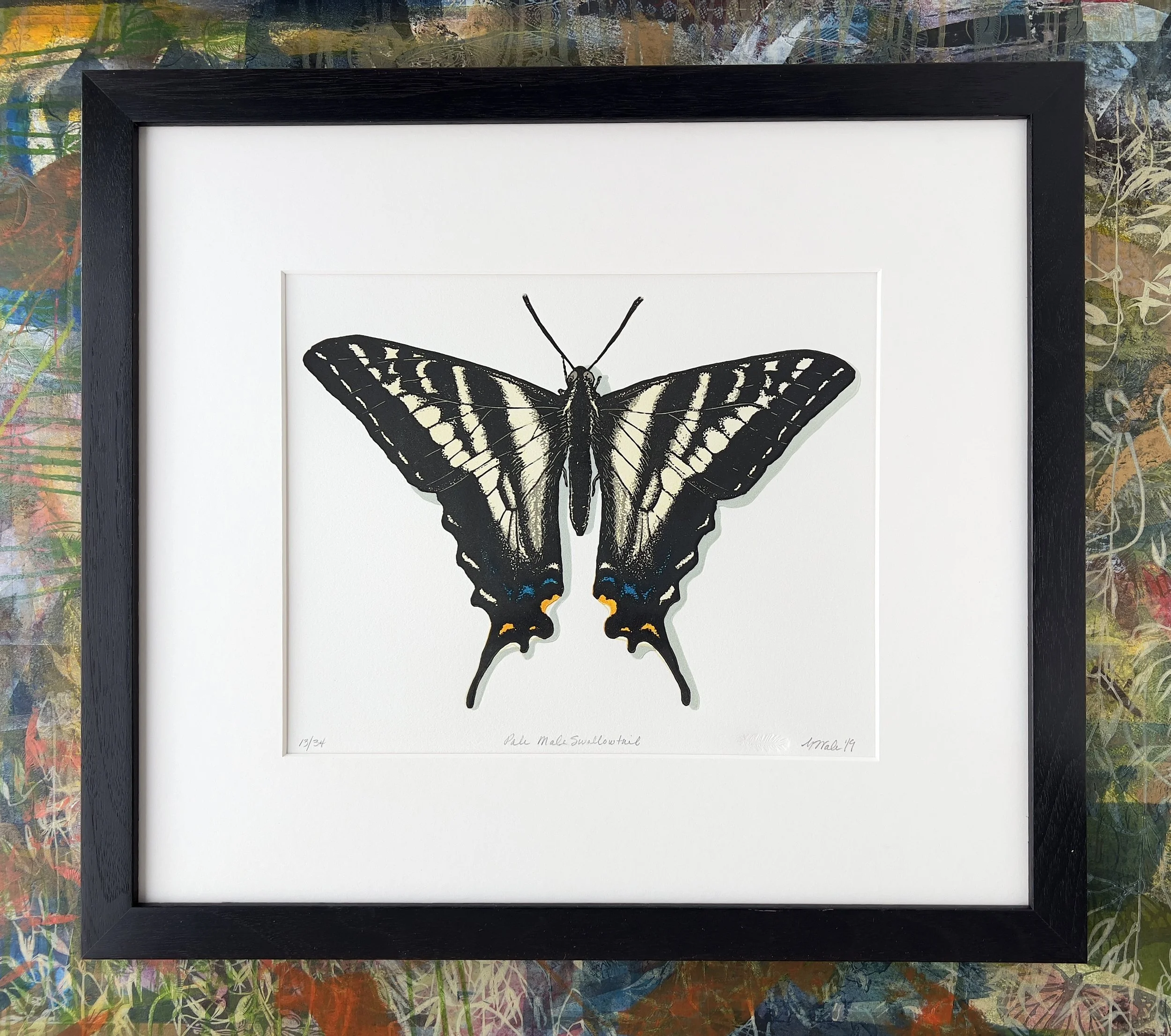 WalesM_PaleMaleSwallowtaail_8x10.jpg